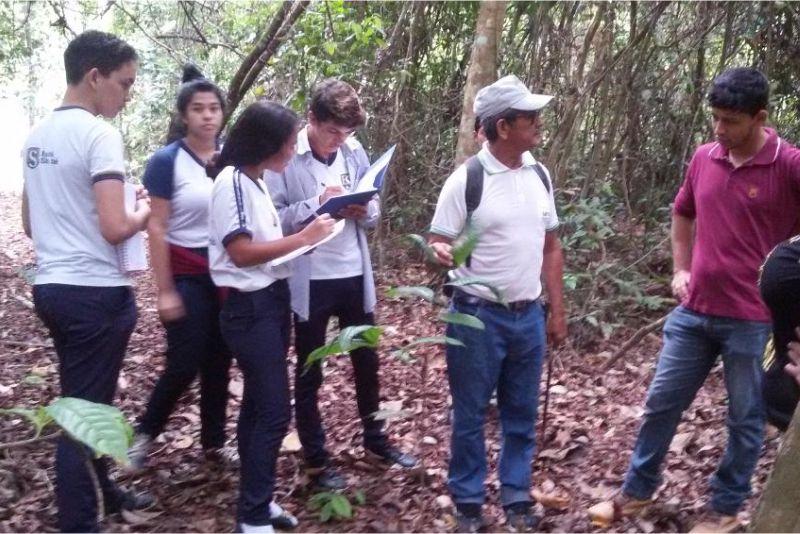 Projeto Horto Florestal da Escola São José alia educação e preservação