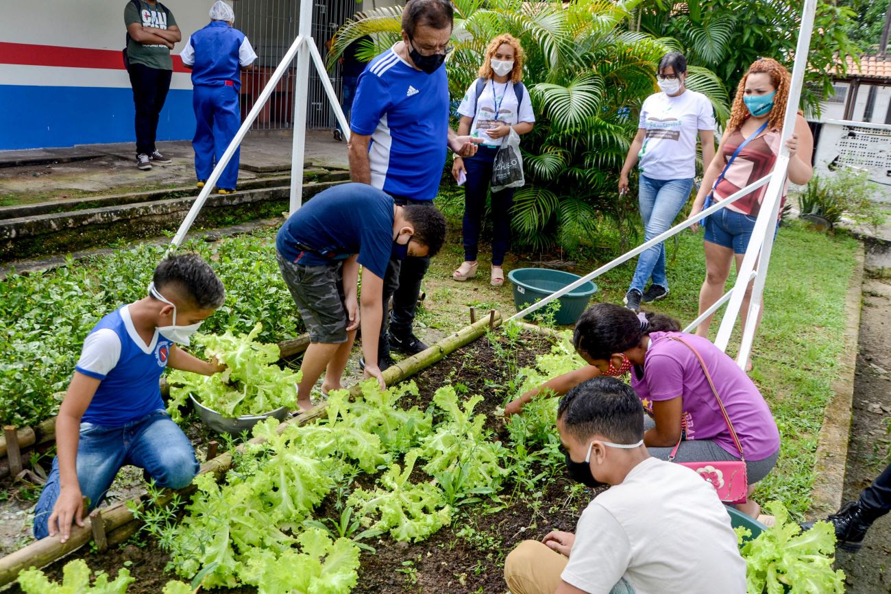 Alunos cuidam de horta no ambiente escolar: educação como pilar de práticas sustentáveis - Foto: Rai Pontes / Ascom Seduc