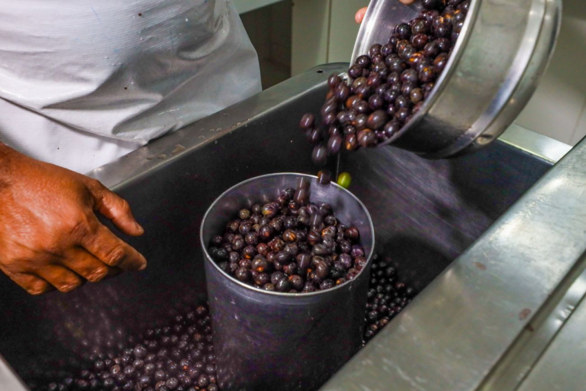 Foto: Escolas estaduais do Pará retornam às aulas hoje com açaí na merenda escolar 