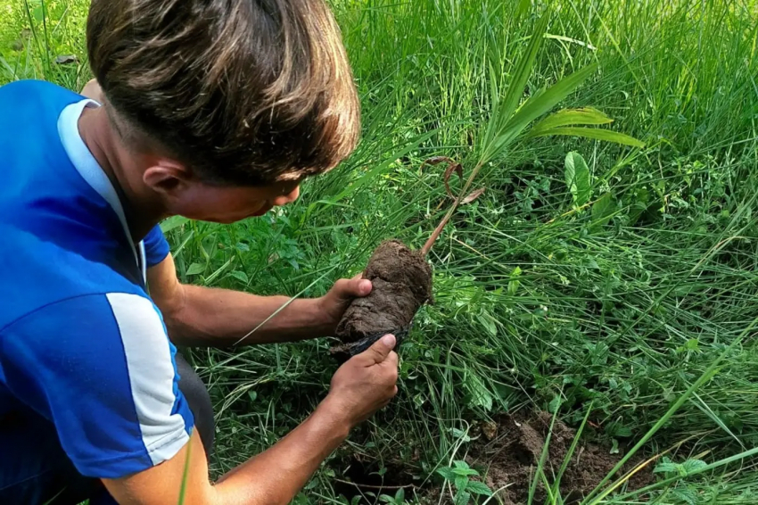 Foto: Escola estadual promove sustentabilidade com projetos de reflorestamento, reciclagem e monitoramento de queimadas