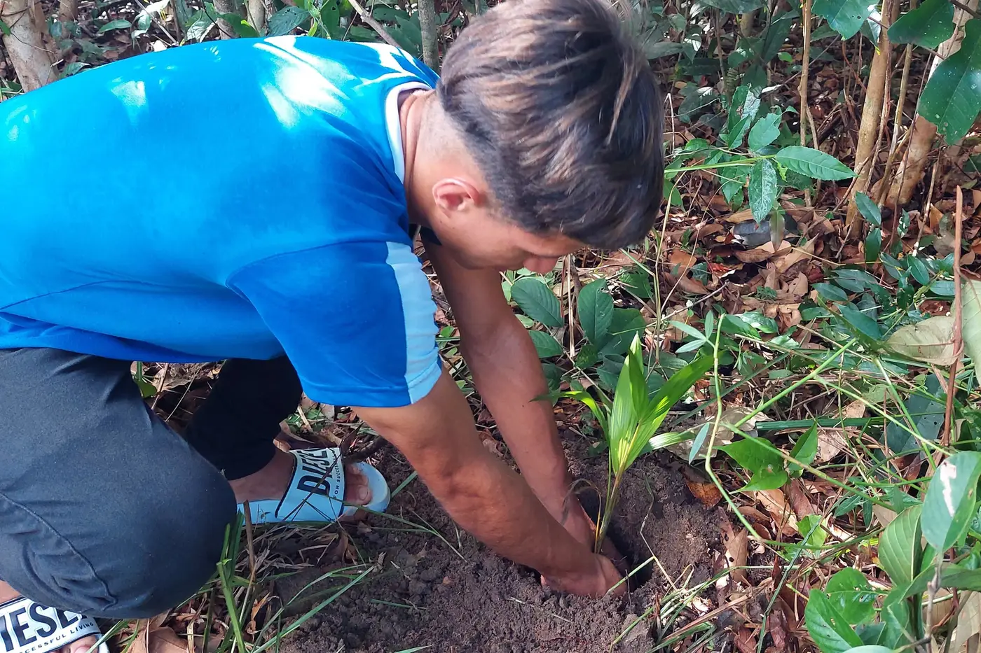 Foto: Divulgação