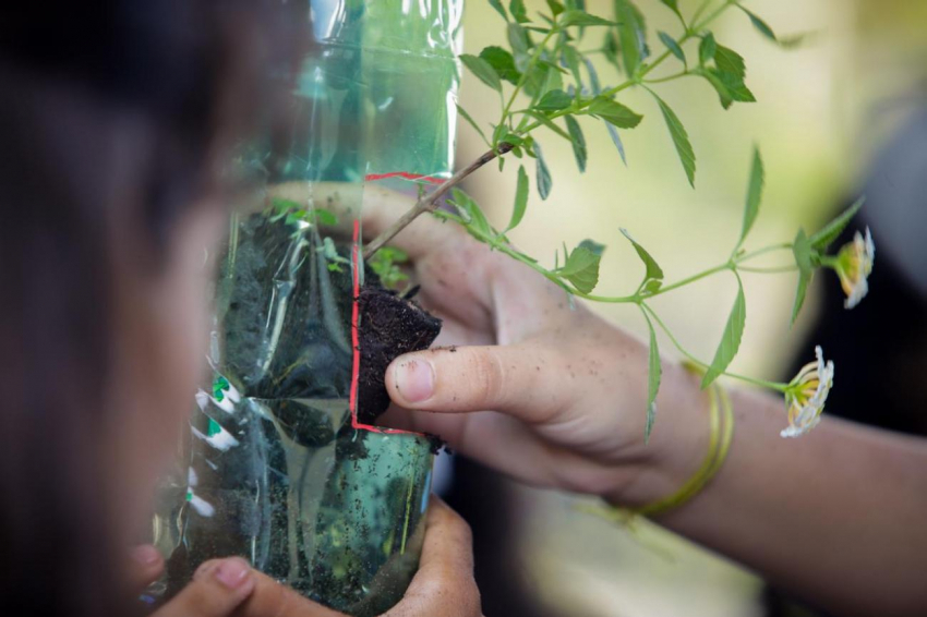 Foto: Seduc fortalece maior política de educação ambiental do Brasil com ações, projetos e profissionais qualificados