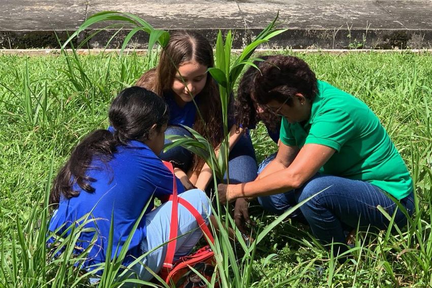 Foto: Ideflor-Bio inicia ‘Projeto Regenerar’ com plantio de mudas em escola estadual, em Belém