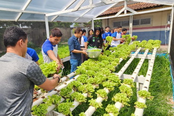 Notícia: Estudantes da rede estadual participam da primeira colheita de horta escolar desenvolvida com recursos do Prodep